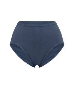 JBS of Denmark Sportstøj<42 BLÅ - Hybrid Maxi Brief