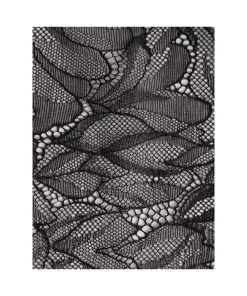 Calvin Klein Trusser<UB1 BLACK - Floral Lace Bikini Panties