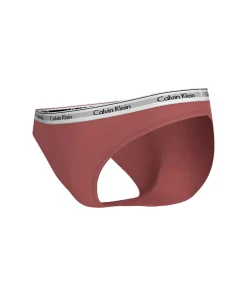 Calvin Klein Trusser<VCC DUSTY CEDAR - Modern Logo Brief